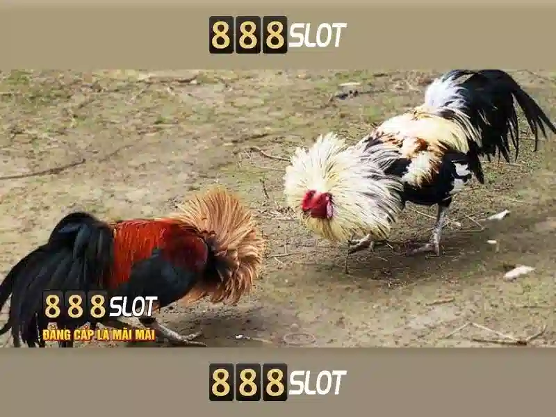 💎code tặng thưởng fabet💎 - https fabet bio - fabet từ tbn