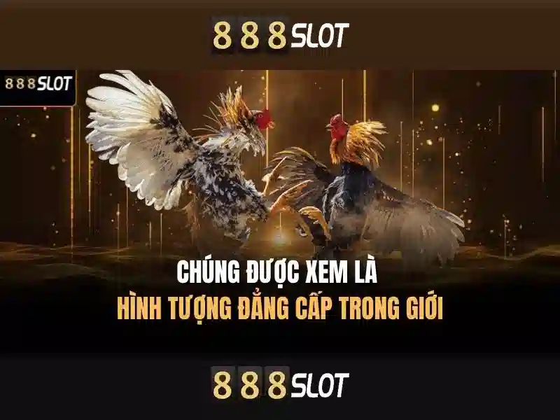 💎trưởng công an phường đánh bạc💎
