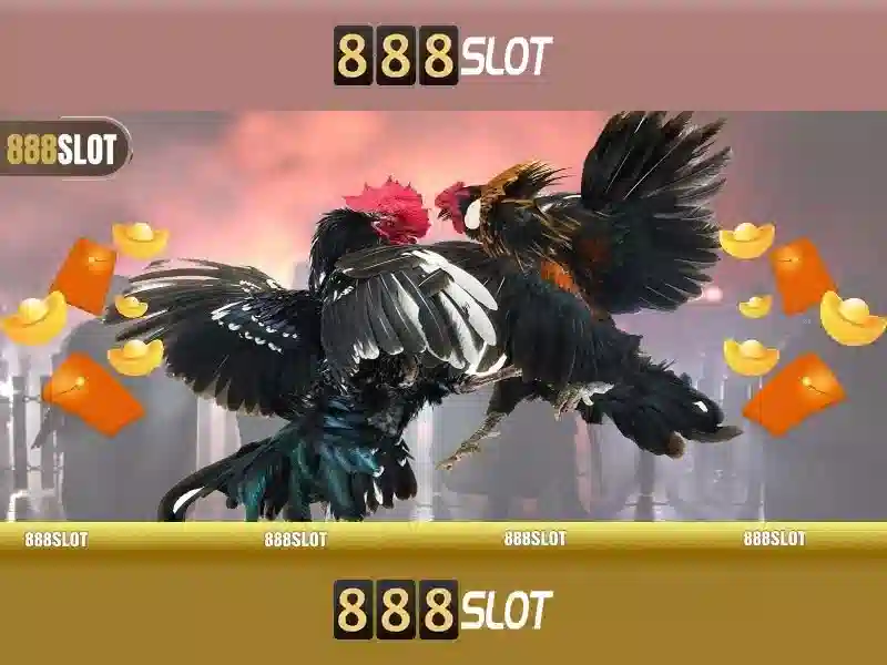 💎nhà cái hwin💎