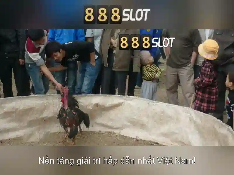 💎m666 nhà cái💎