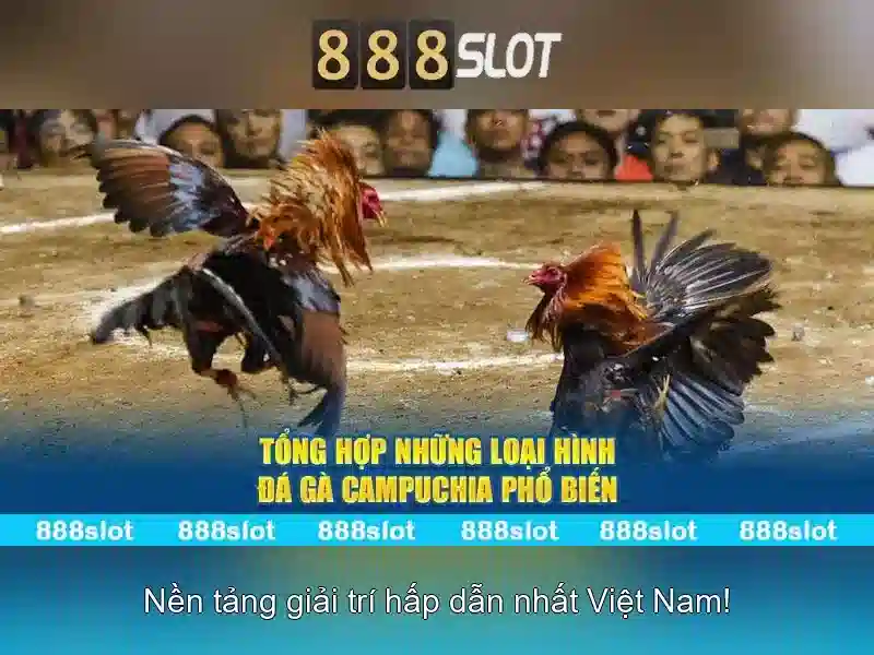 💎kèo nhà cái trực tiếp vtv6💎
