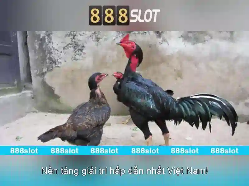 💎nhà cái uy tín nhất 2020💎